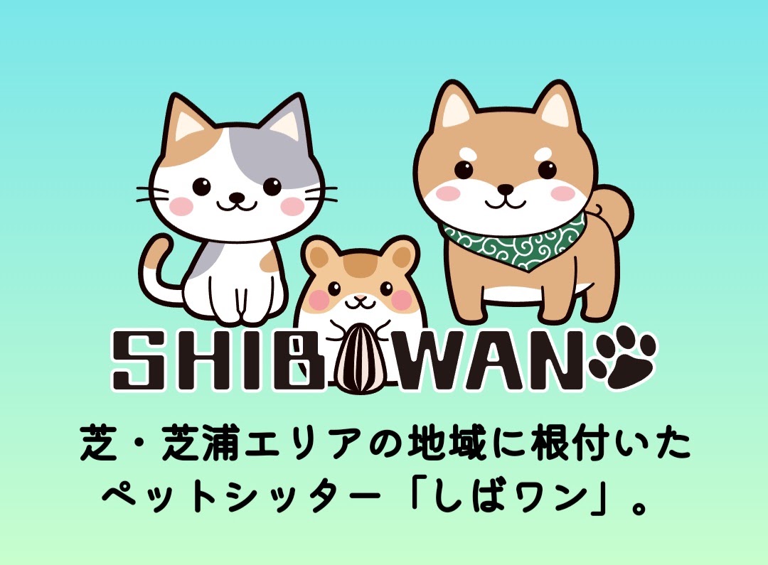 しばワン