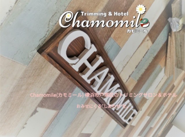 Chamomile（カモミール）