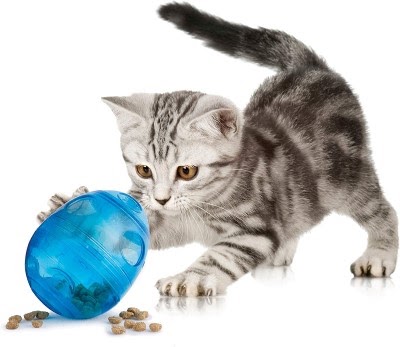 PetSafe　ねこ用おもちゃ エッグササイザー 