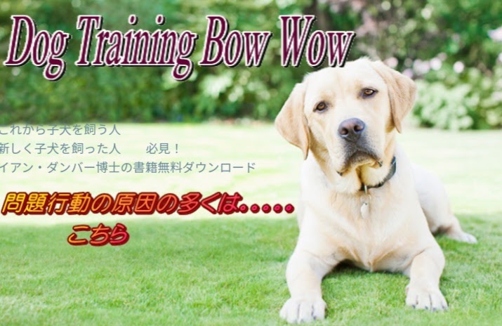  Dog Training Bow Wow