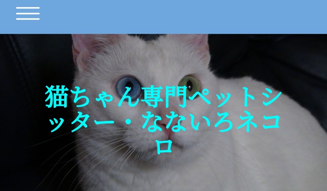 猫専門ペットシッター なないろネコロ