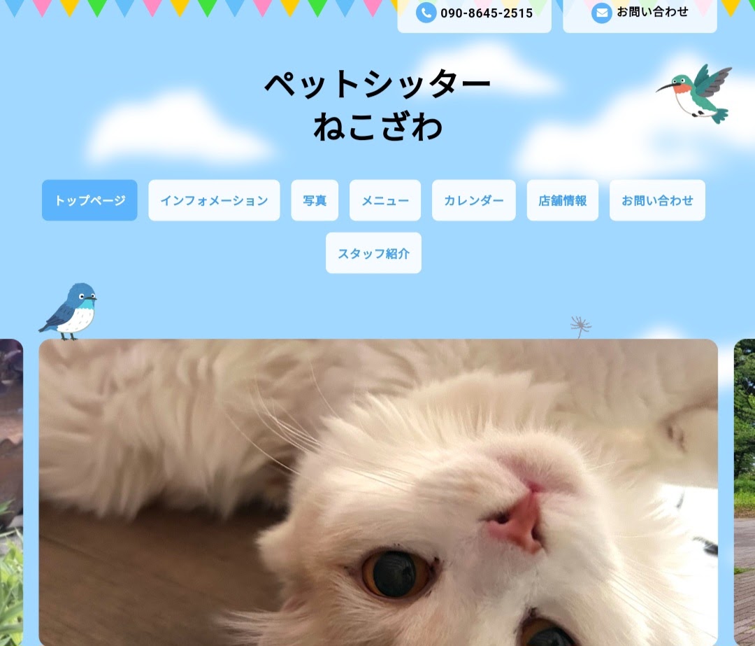 ペットシッターねこざわ
