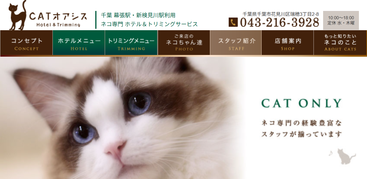 CAT オアシス（キャットオアシス）