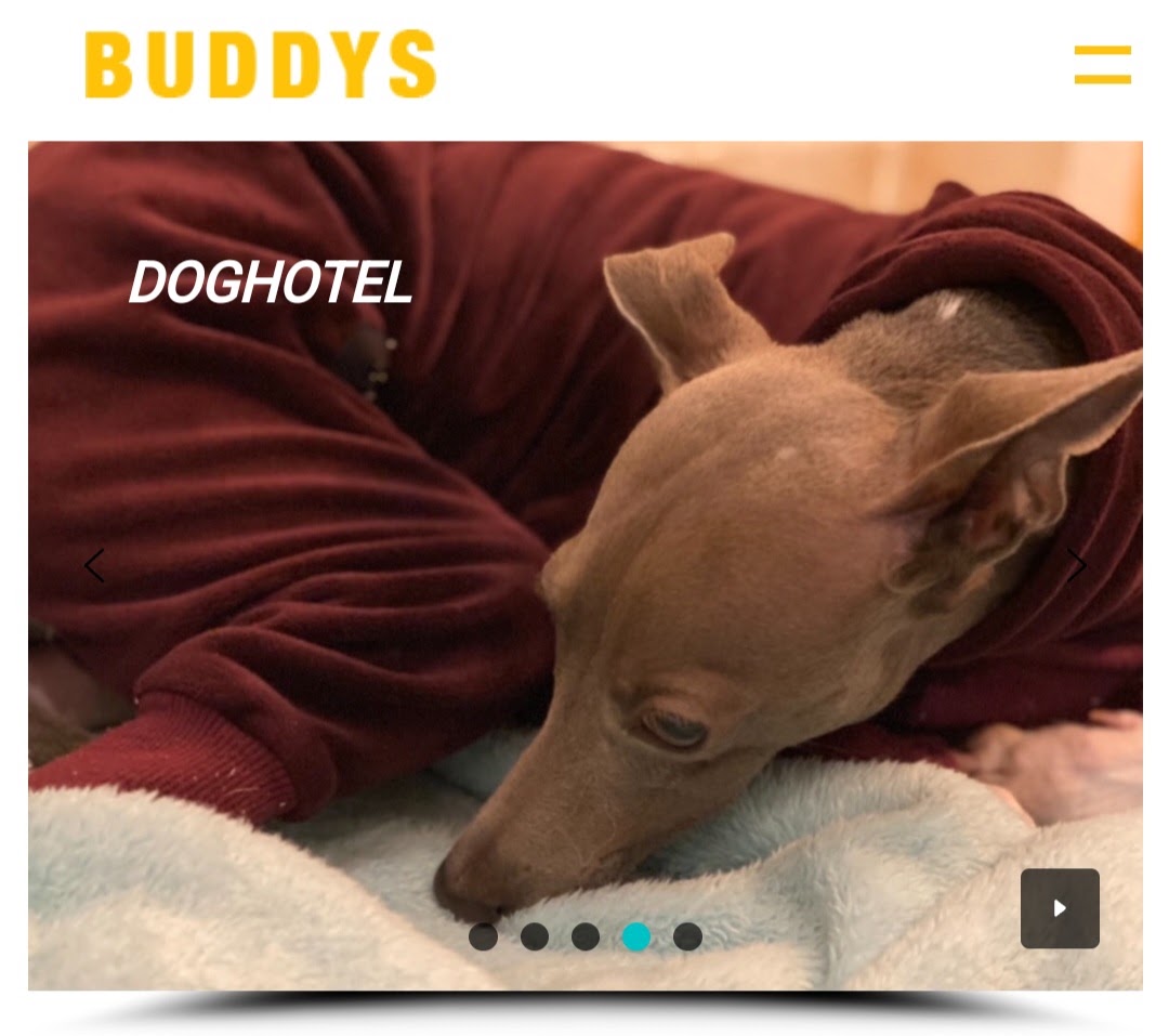 Total Pet Support BUDDYS