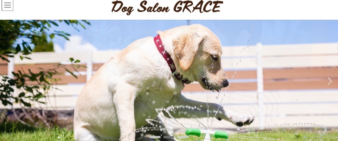 Dog Salon GRACE（ドッグサロングラース）