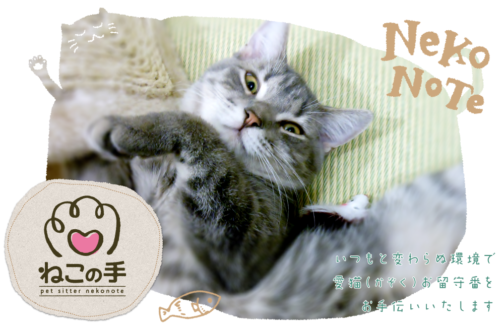 名古屋　ねこの手