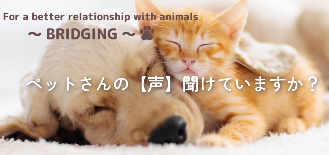 For a better relationship with animals～BRIDGING～