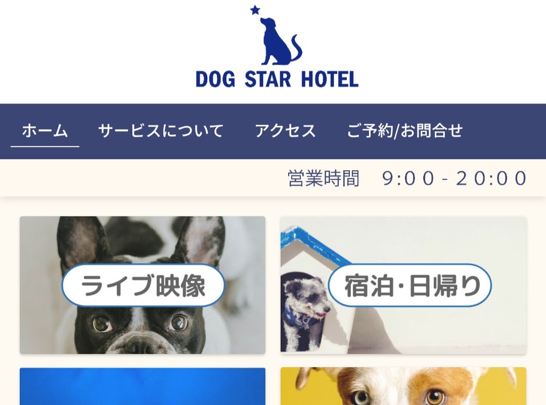 ライブドッグホテル