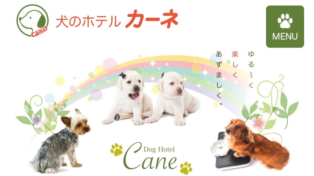 Cane（カーネ）
