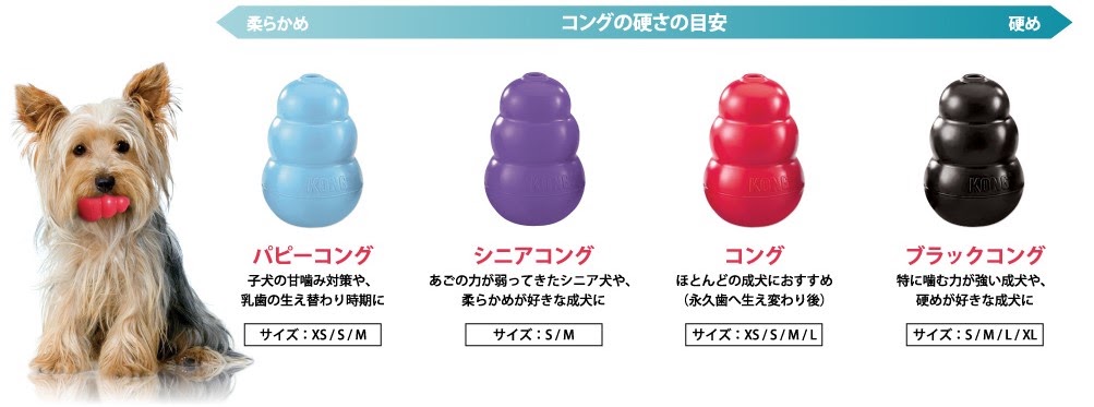 コング
