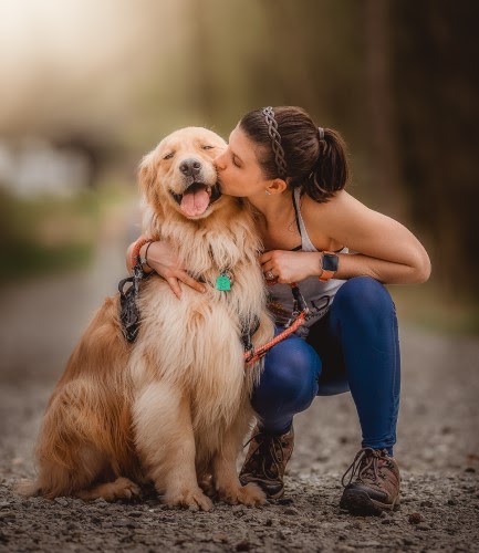 賢い犬種９種類