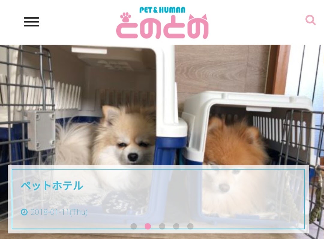 Pet&Humanとのとの