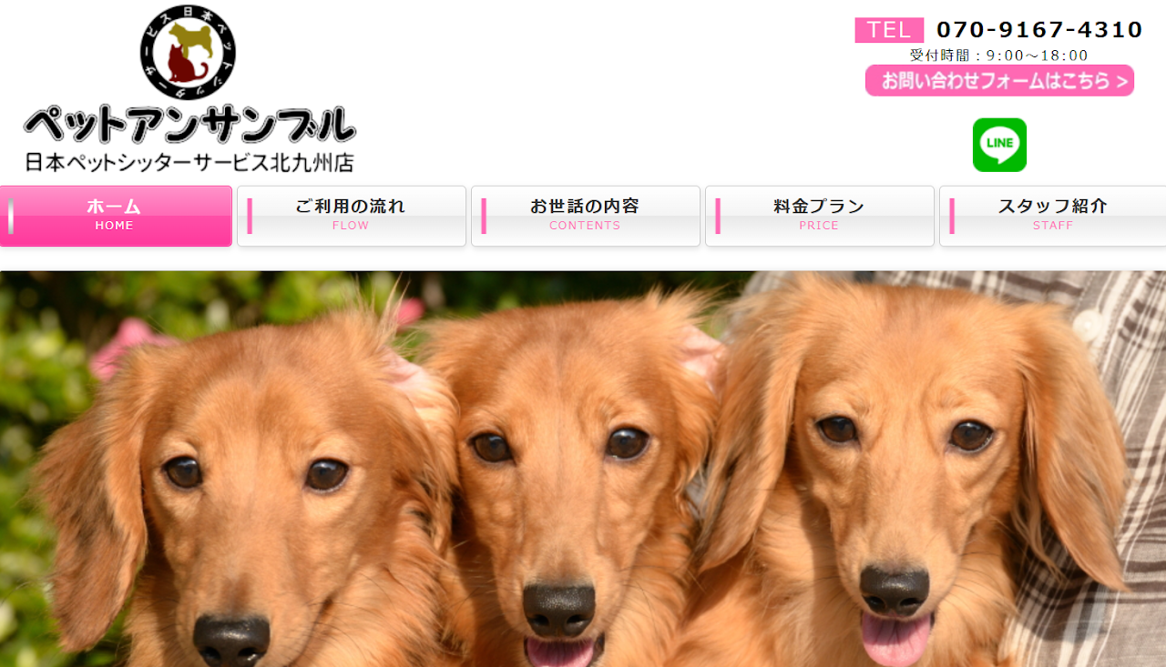 ペットアンサンブル 日本ペットシッターサービス北九州店