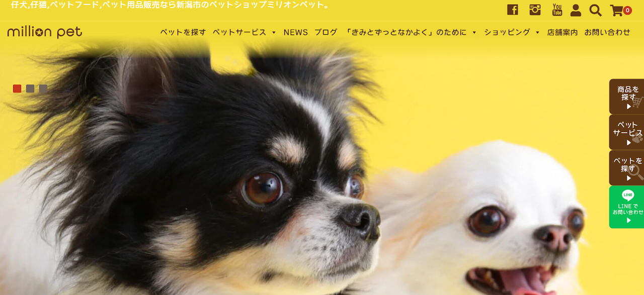 ミリオンペット