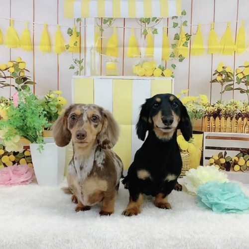 ワンルーク名古屋港区東海通店