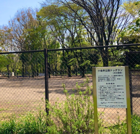 小金井公園ドッグラン