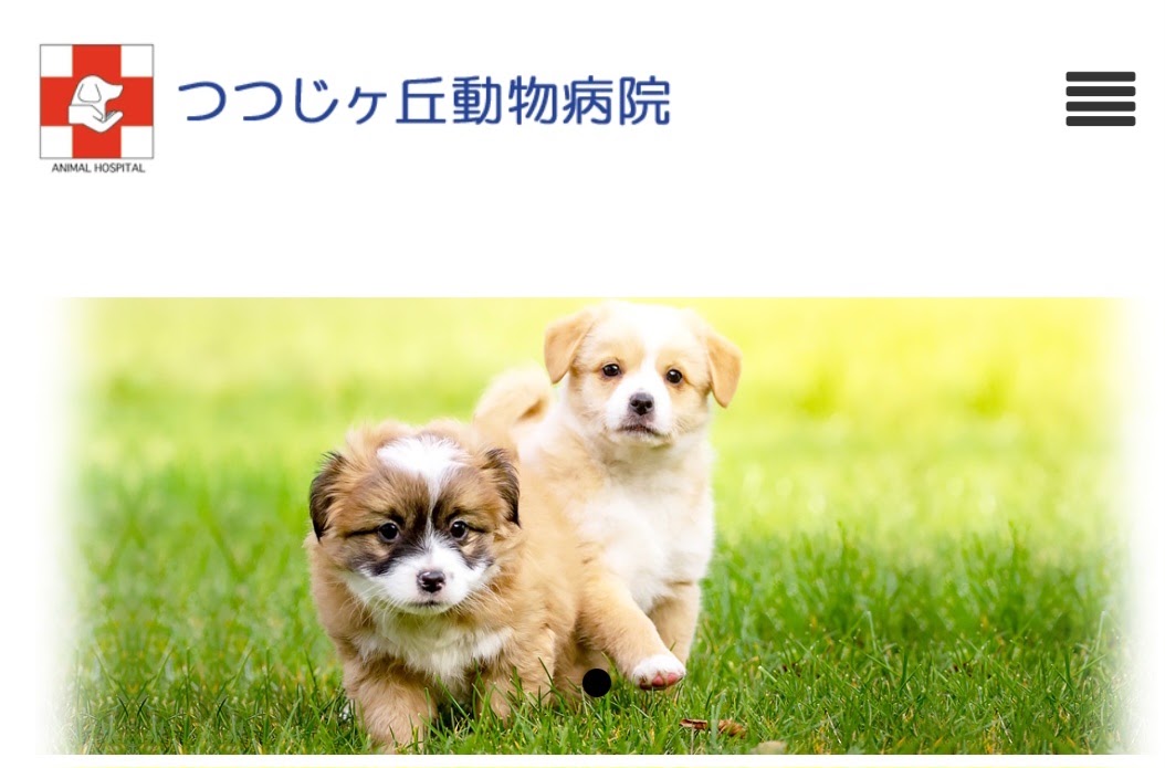 つつじヶ丘動物病院