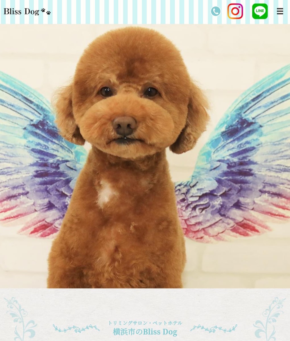 Bliss Dog