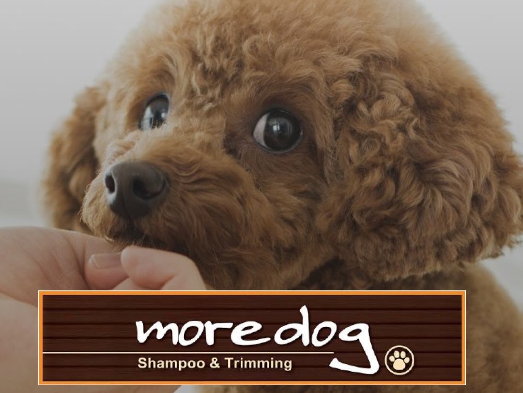 トリミングサロン モアドッグ（moredog）