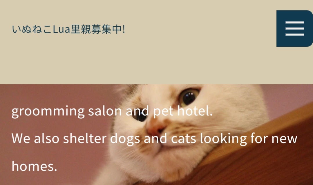 いぬねこLua