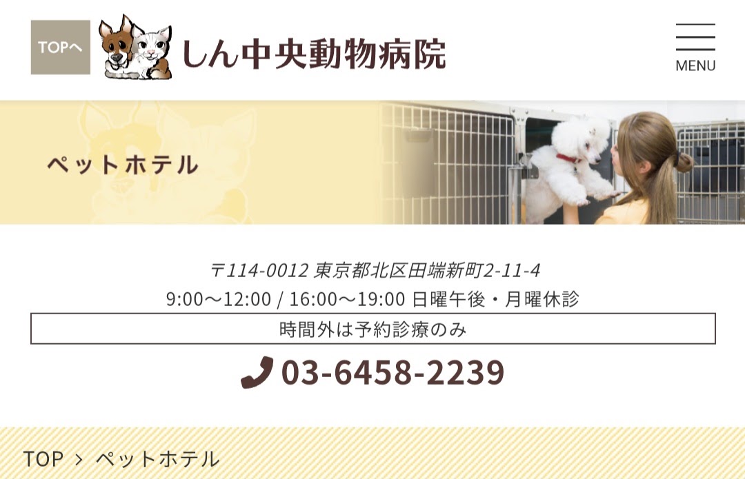 しん中央動物病院