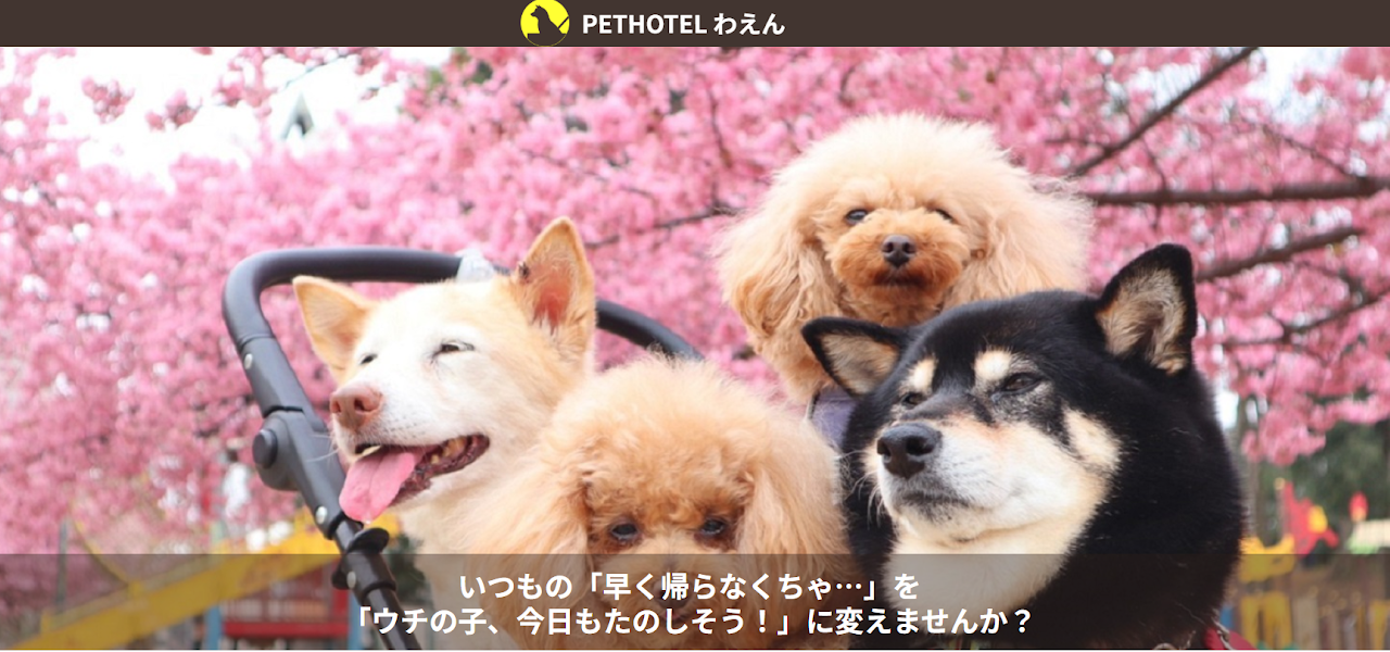わえん