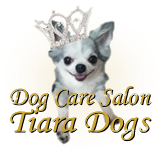 Dog Care Salon Tiara Dogs（ドッグケアサロン ティアラドッグス）