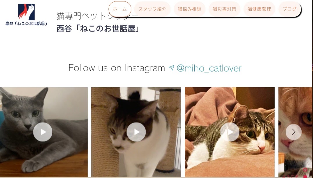 西谷「ねこのお世話屋」