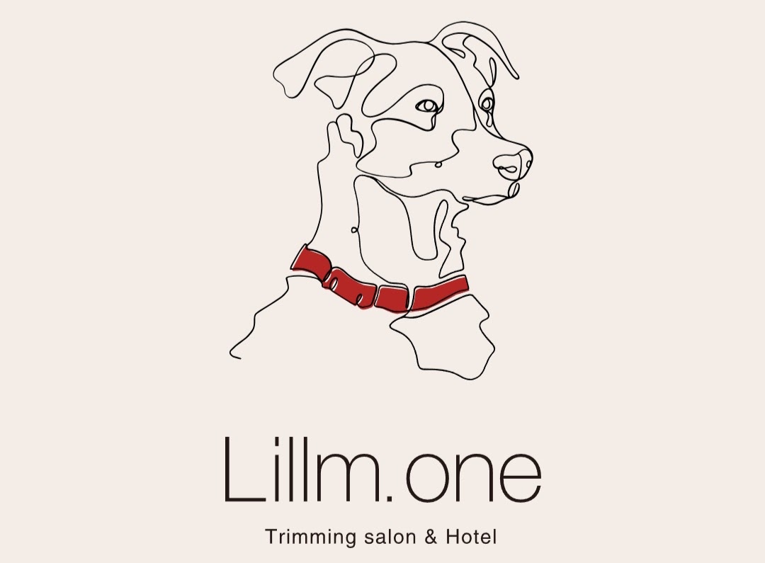 Lillm.one（リルムワン）
