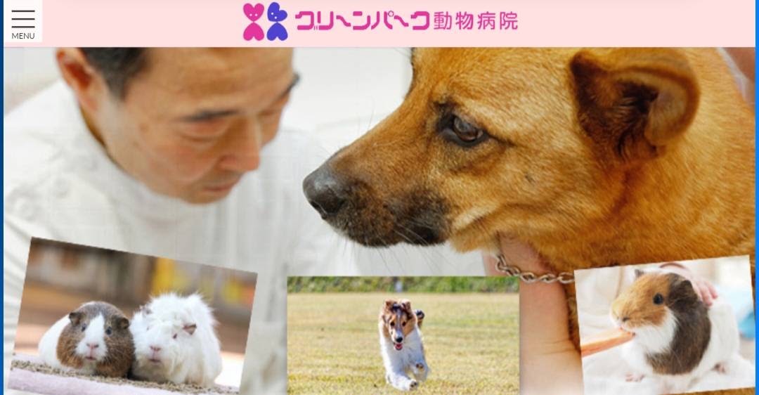 グリーンパーク動物病院